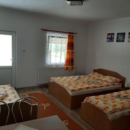 Kacso Apartma Ocna de Sus Exterior photo