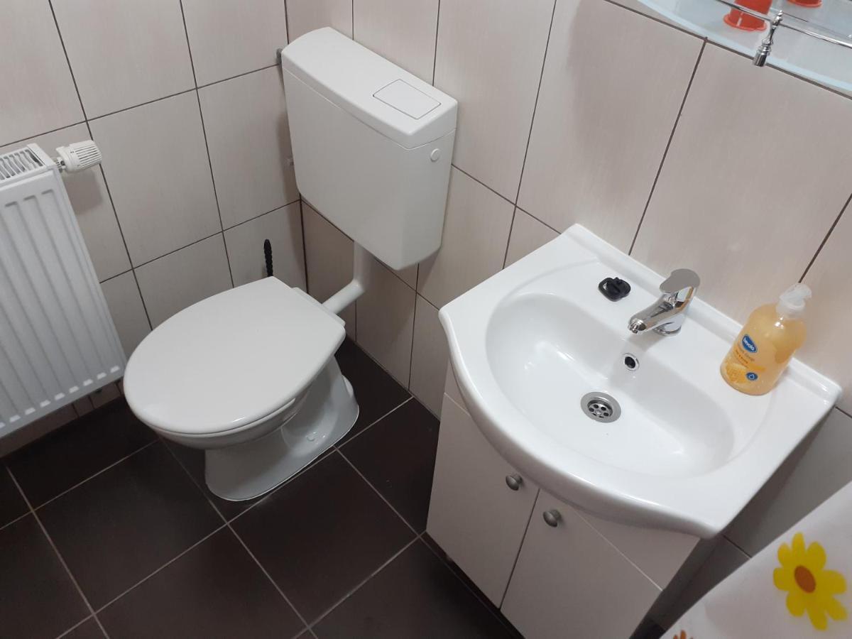 Kacso Apartma Ocna de Sus Exterior photo