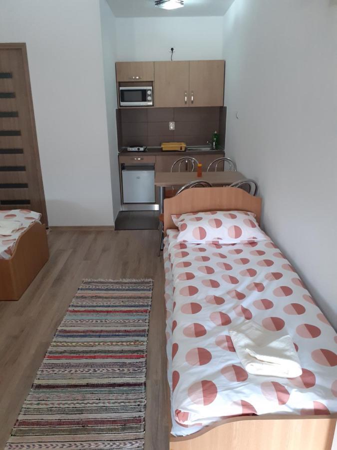 Kacso Apartma Ocna de Sus Exterior photo