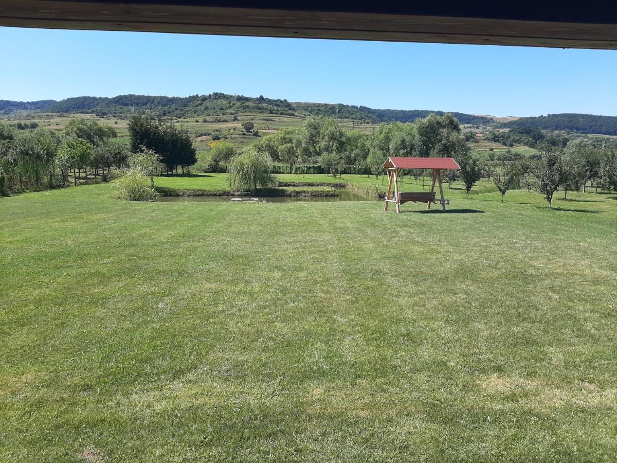 Kacso Apartma Ocna de Sus Exterior photo