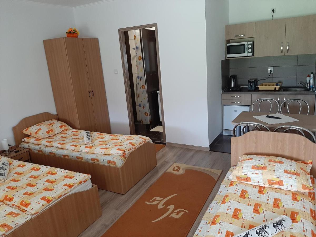 Kacso Apartma Ocna de Sus Exterior photo